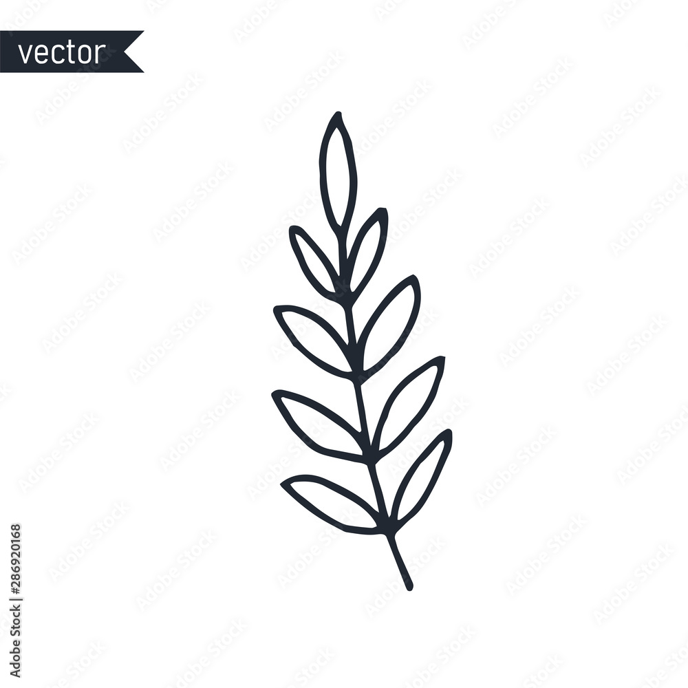 Fototapeta premium Branch with leaves outline on white background, simple vector hand drawn illustration.