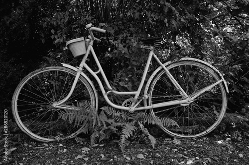 Vieille bicyclette abandonnée noir et blanc