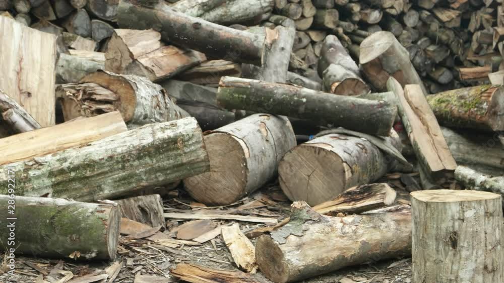 Logging for winter, stockpile of firewood, background Logging for winter, stockpile of firewood, background