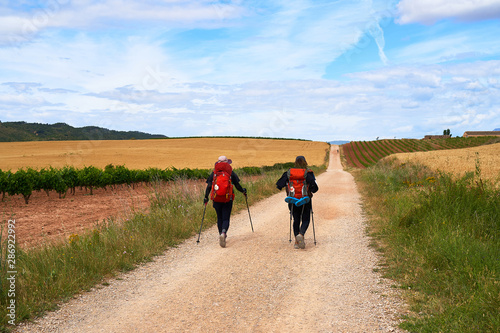 Two girls walking the Camino de Santiago in Spain, immersed in a peaceful countryside, surrounded by meadow fields in a beautiful summer day under a blue sky scattered with expressive clouds