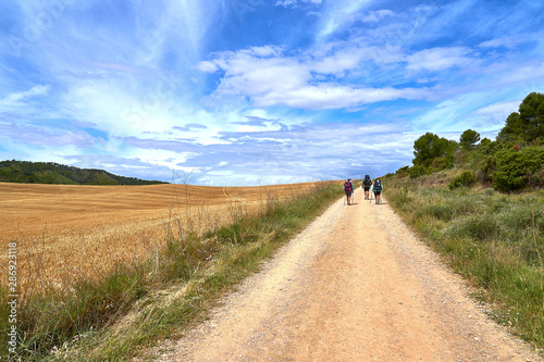 People walking the Camino de Santiago in Spain, immersed in a peaceful countryside, surrounded by meadow fields in a beautiful summer day under a blue sky scattered with expressive clouds