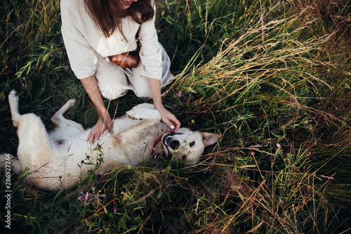 Girl and her friend dog are playing on the straw field background. Beautiful young woman relaxed and carefree enjoying a summer sunset with her lovely dog photo