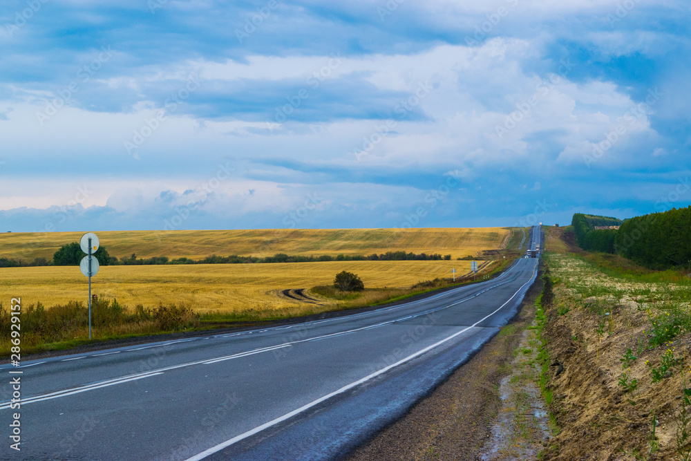 Empty autumn road in golden wheat field