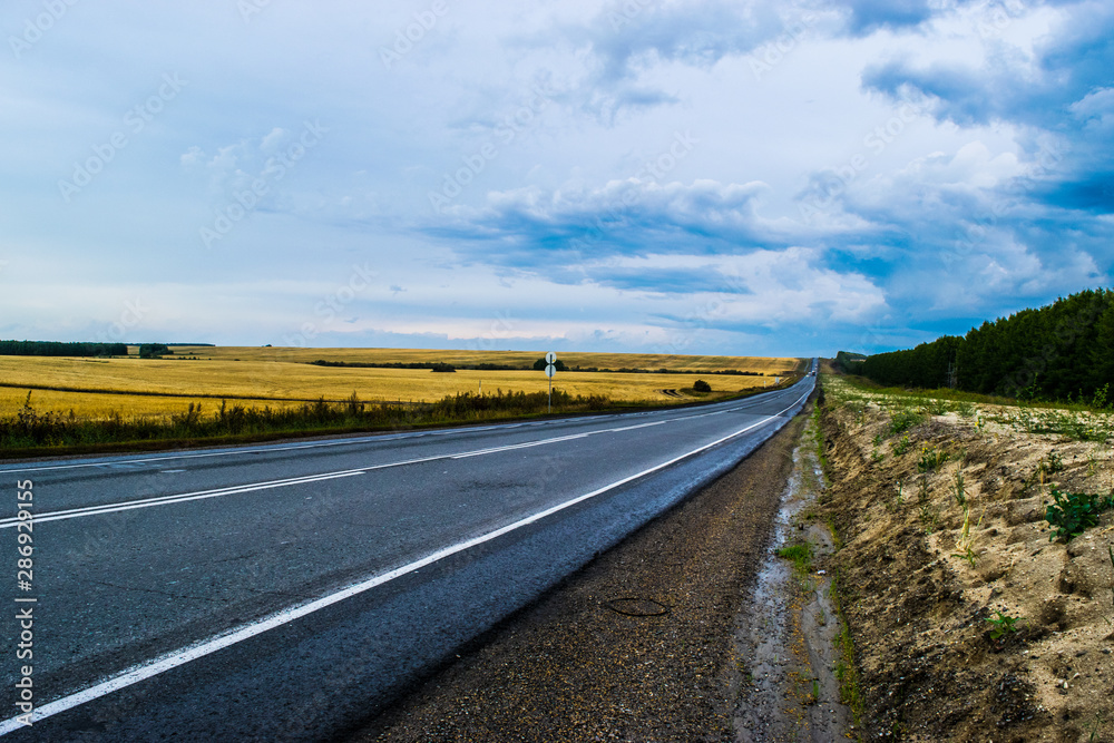 Empty autumn road in golden wheat field