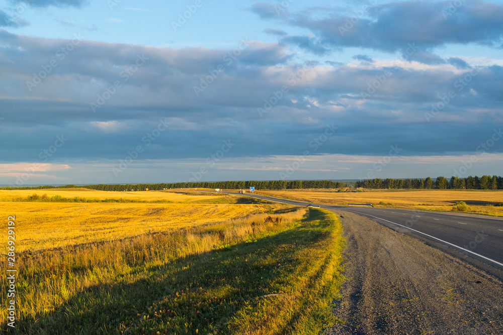 Empty autumn road in golden wheat field