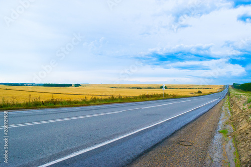 Empty autumn road in golden wheat field