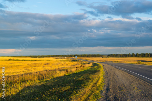 Obraz na płótnie Empty autumn road in golden wheat field w salonie