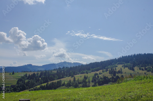  Carpathian landscapes. Meadows, hills, forests and mountains of the Carpathians. © Tora Stark