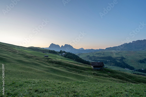 beautiful green meadow of the seiser alm with a view on the mountains plattkofel and langkofel from the dolomites in south tyrol