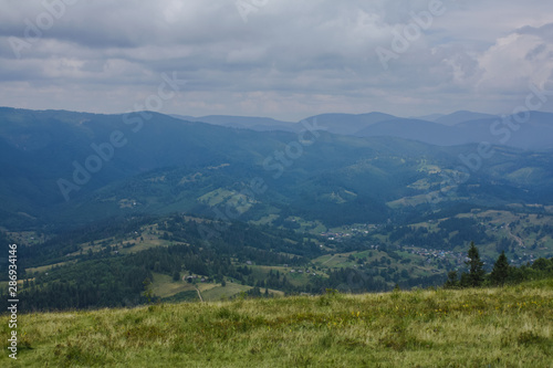 Fototapeta Naklejka Na Ścianę i Meble -   Carpathian landscapes. Meadows, hills, forests and mountains of the Carpathians.
