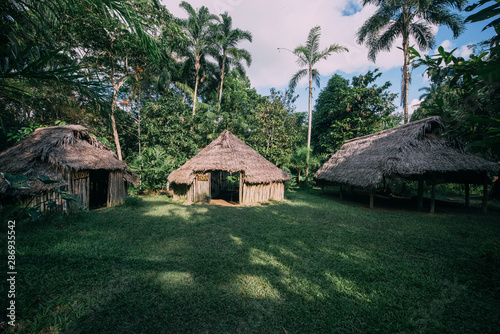 Tarapacá town in Colombian Departament of Amazonas photo