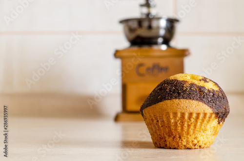 Cupcake with chocolate dousing photo