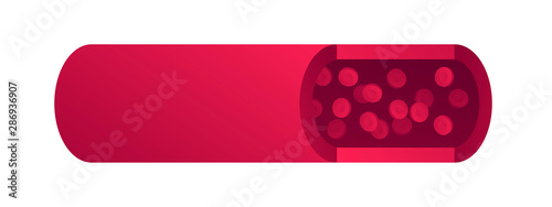 Vector flat blood cell vessel illustration. Red gradient erythrocytes flow isolated on white background. Design element template for poster, flyer, card, banner, ui, presentation