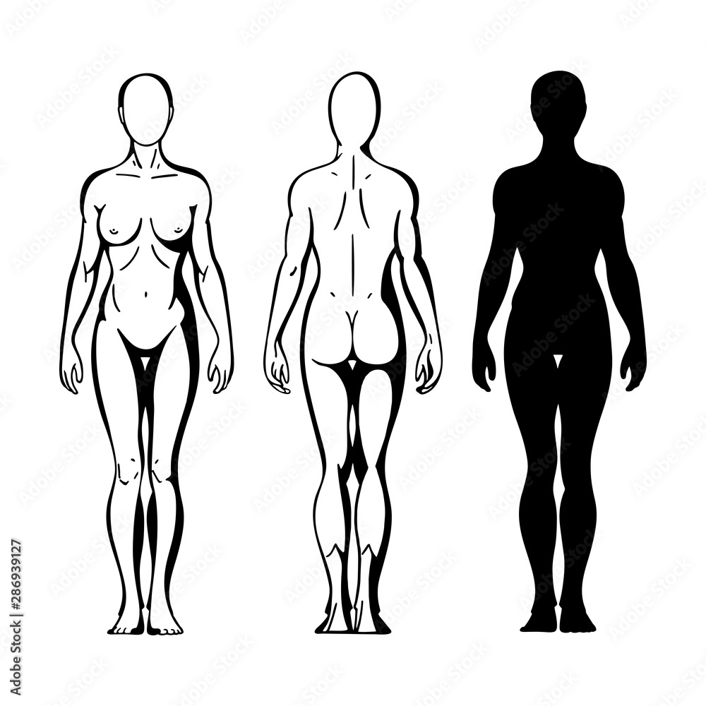 Drawing the female figure (construction explained) : r/learnart