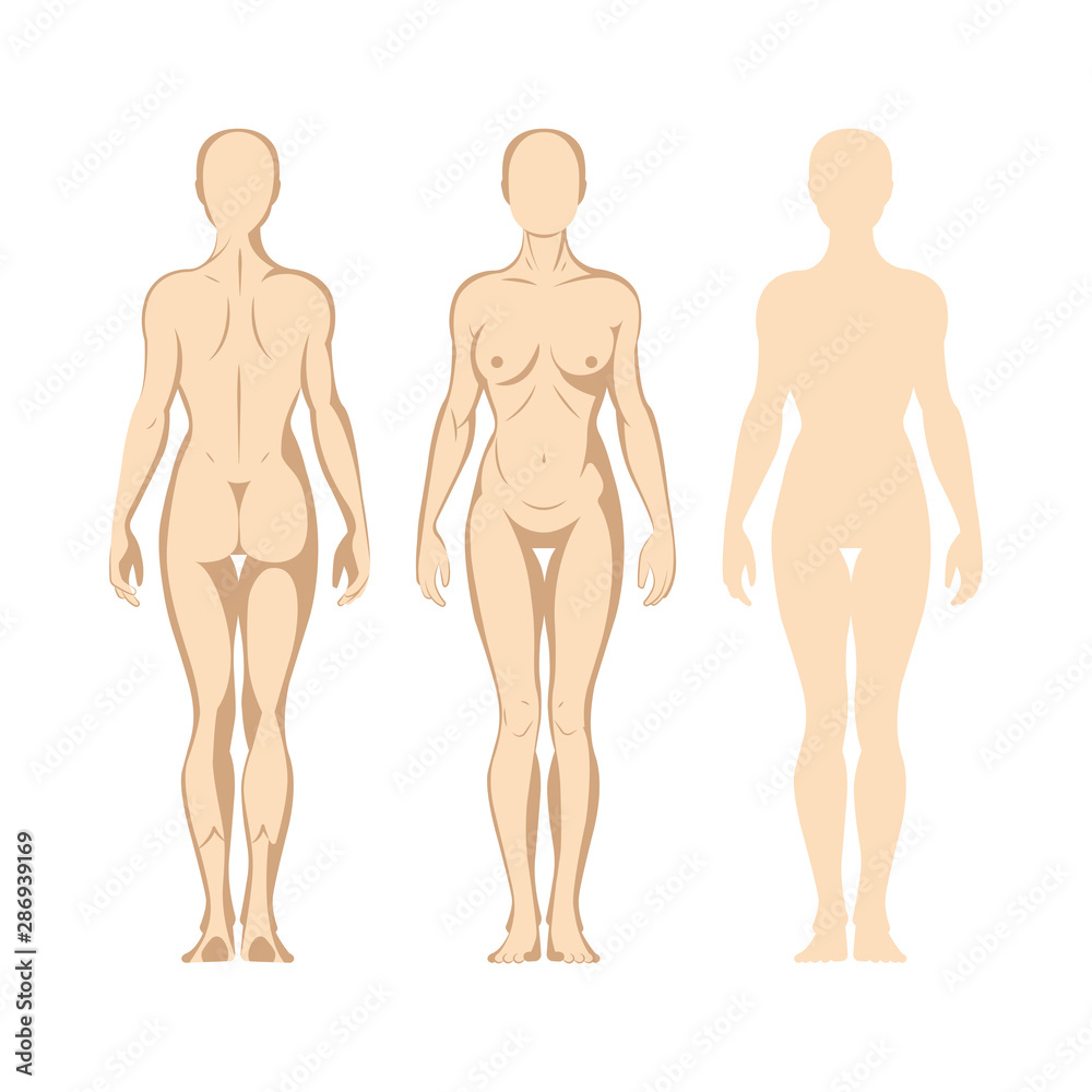Female body. Hand drawn female body set. Woman body front and back view isolated vector illustration. Woman naked full length figure sketch drawing. Part of set. Female body. Hand drawn female body set. Woman body front and back view isolated vector illustration. Woman naked full length figure sketch drawing. Part of set.