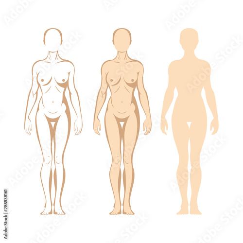 Female body. Hand drawn female body set. Woman body front view isolated vector illustration. Woman naked full length figure sketch drawing. Part of set.