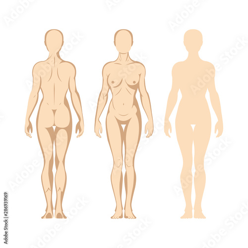 Female body. Hand drawn female body set. Woman body front and back view isolated vector illustration. Woman naked full length figure sketch drawing. Part of set.