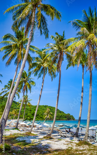 Top view on beautiful Sao beach with white palm trees  Phu Quoc island  Vietnam