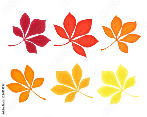 Set of chestnut leaves drawn on outline style. Chestnut tree leaves isolated on white background. Clipart elements for card  poster  banner  wallpaper  wrapping  textile  fabric  tile  print design