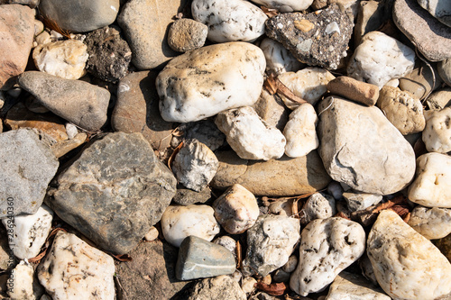 Stones on the ground. Rock background. Ground and stones. Rocky soil. Stone background. Natural.