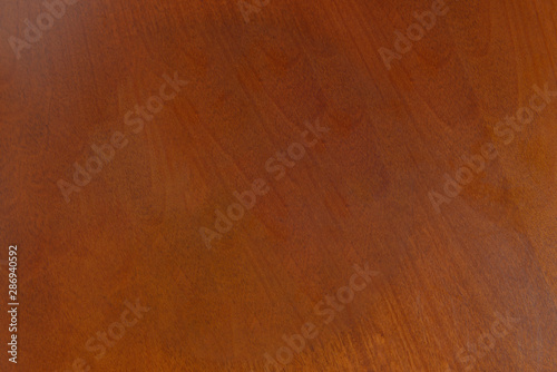 Regular wood background. Timber texture and style