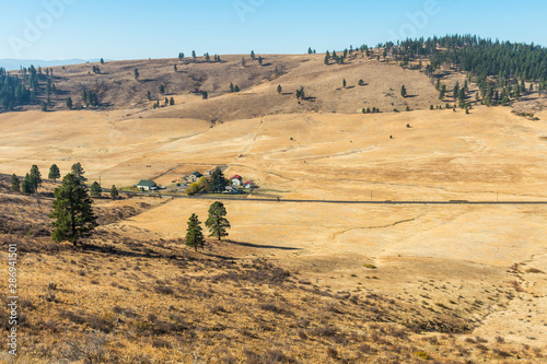 Landscape of the plain in Hidden Valley with yellowish soil and some trees and ranches in Cle Elum