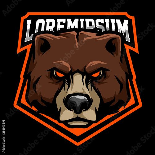 bear e sport team logo