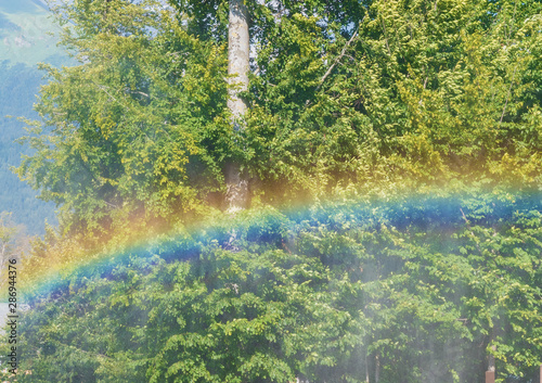 Beautiful colored rainbow on a background of green trees