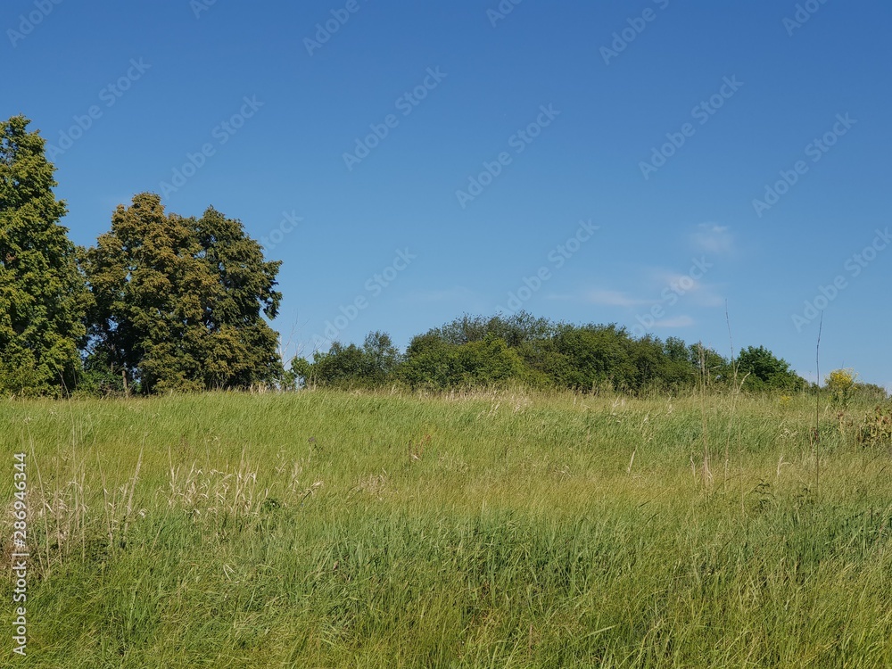 Summer rural landscape in Russia Summer rural landscape in Russia