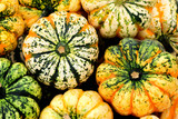 Closeup of many colorful pumpkins in the market with colorful drawing in autumn