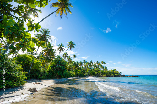 Bright scenic view of rustic tropical island beach with palm trees casting shadows under blue sky in Bahia, Brazil