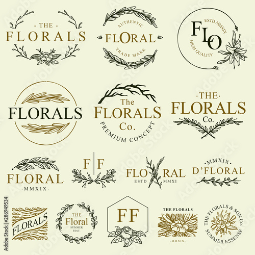 set of calligraphic design elements © Jerkslab