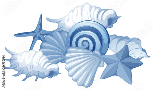 Different types of seashells on white background © blueringmedia
