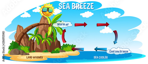 Diagram showing circulation of sea breeze
