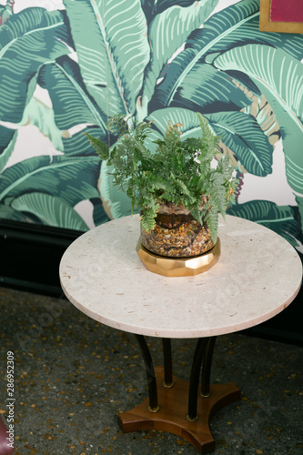 Indoor house plant on marble side table, leaf wallpaper, gold pot