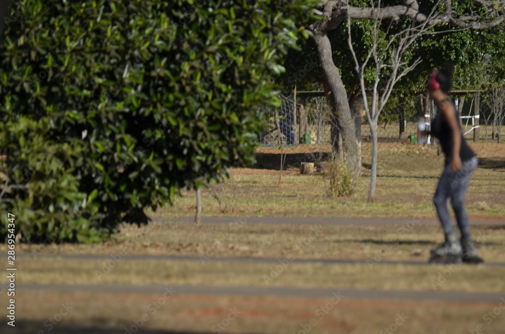 A beautiful view of people walking in Brasilia park, Brazil A beautiful view of people walking in Brasilia park, Brazil