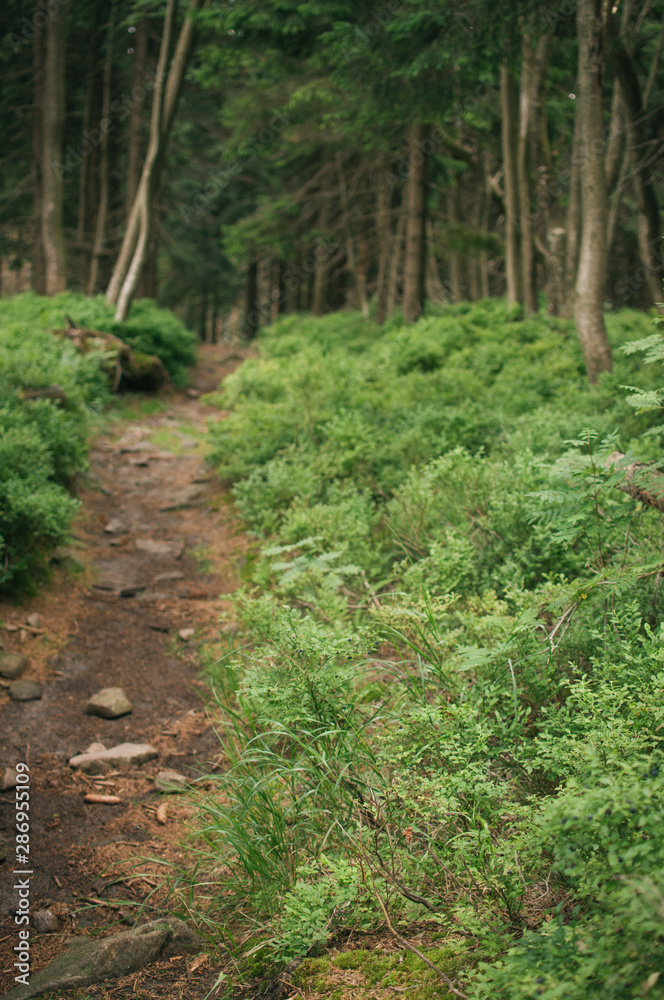 Backpacking in Beskydy mountains, the most favourite places Backpacking in Beskydy mountains, the most favourite places