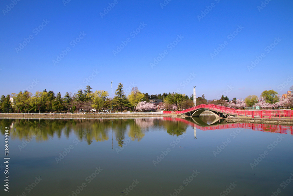 Obraz premium 春の開成山公園(福島県・郡山市)