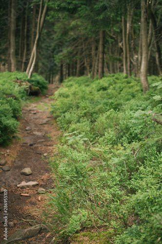 Backpacking in Beskydy mountains, the most favourite places