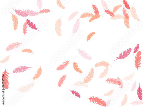 Flying feather elements airy vector design.