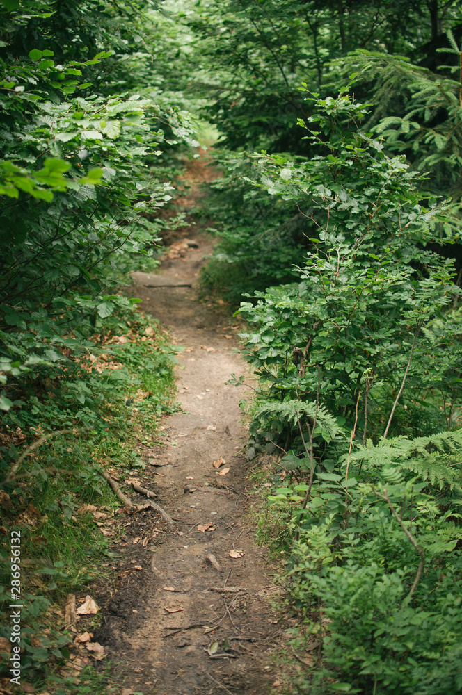 Backpacking in Beskydy mountains, the most favourite places