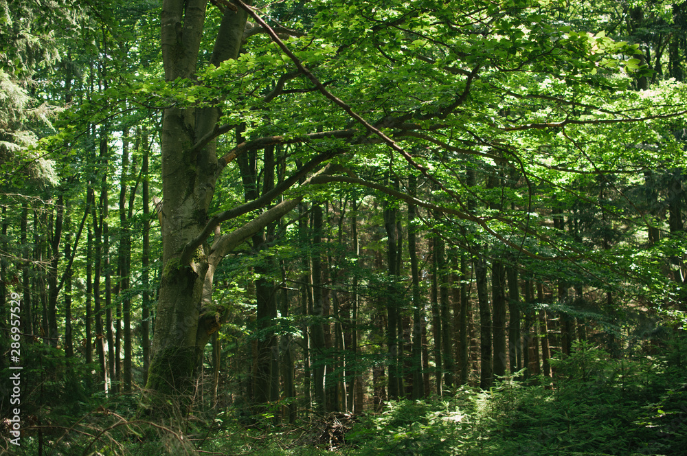 Backpacking in Beskydy mountains, the most favourite places Backpacking in Beskydy mountains, the most favourite places