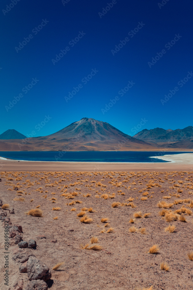 Lagunas Altiplanicas, lakes Miscanti and Miñiques in Chile