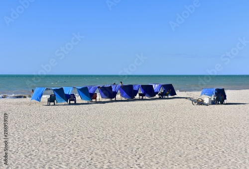 Beach chairs and umbrellas on the beach. 