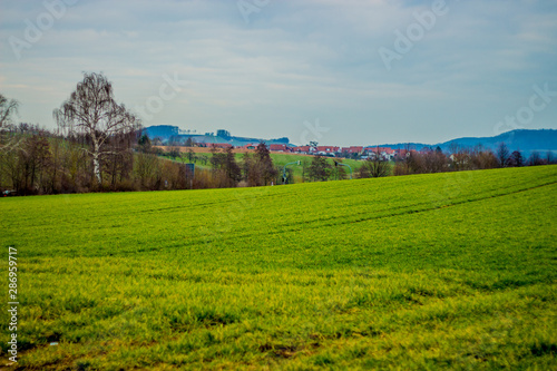 nature
