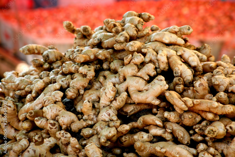 Spices. Galangal - Bangkok Spices. Galangal - Bangkok