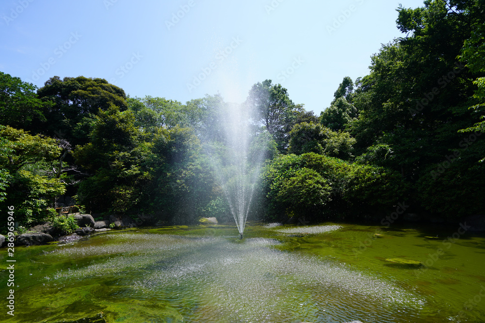 Fototapeta premium 噴水公園