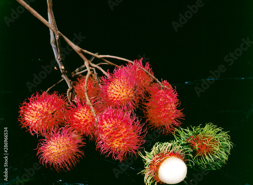 Fruit. Rambutan - Studio photo