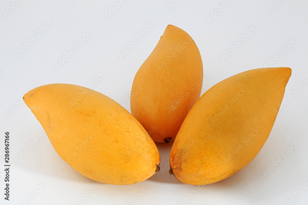 Fruit. Mango - Studio