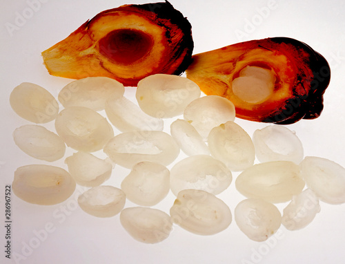 Fruit. Chaak - Studio